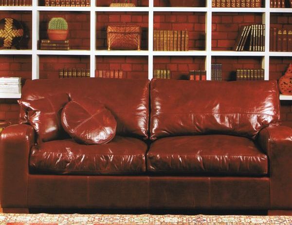 Best Leather Sofa Conditioner